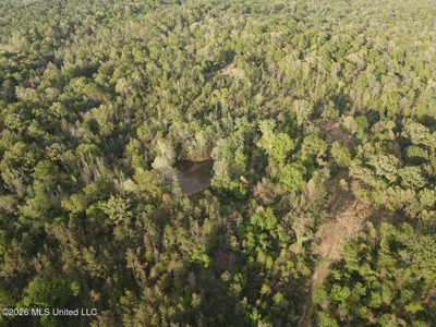 77 Acres in Edwards, MS Hinds County Big Black River Region - image 46