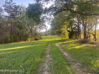 77 Acres in Edwards, MS Hinds County Big Black River Region - image 5