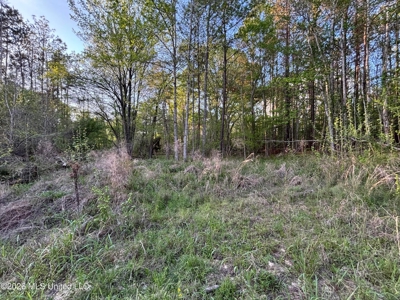 77 Acres in Edwards, MS Hinds County Big Black River Region - image 18