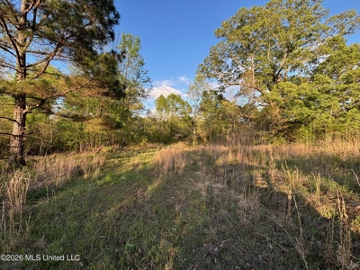 77 Acres in Edwards, MS Hinds County Big Black River Region - image 22