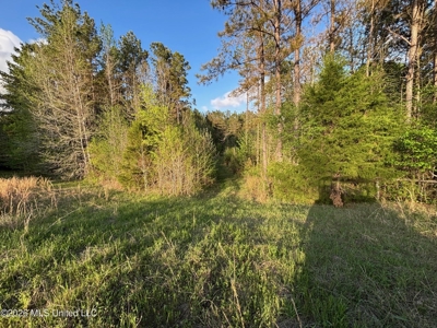 77 Acres in Edwards, MS Hinds County Big Black River Region - image 16