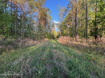 77 Acres in Edwards, MS Hinds County Big Black River Region - image 19