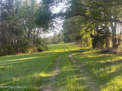 77 Acres in Edwards, MS Hinds County Big Black River Region - image 4
