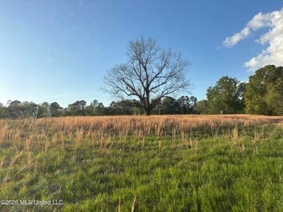 77 Acres in Edwards, MS Hinds County Big Black River Region - image 15