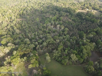 77 Acres in Edwards, MS Hinds County Big Black River Region - image 40
