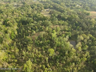 77 Acres in Edwards, MS Hinds County Big Black River Region - image 48