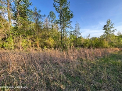 77 Acres in Edwards, MS Hinds County Big Black River Region - image 28