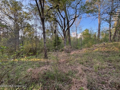 77 Acres in Edwards, MS Hinds County Big Black River Region - image 30