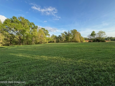 77 Acres in Edwards, MS Hinds County Big Black River Region - image 6