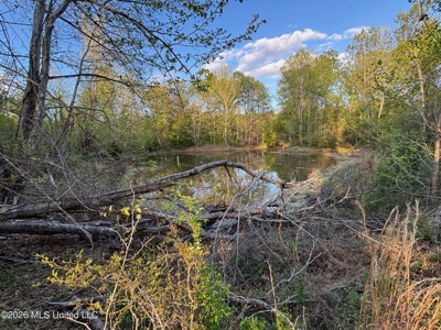 77 Acres in Edwards, MS Hinds County Big Black River Region - image 36