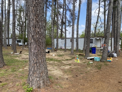 Land For Sale In Savannah City Limits - image 3