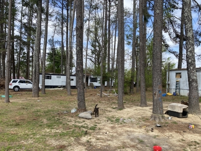 Land For Sale In Savannah City Limits - image 5