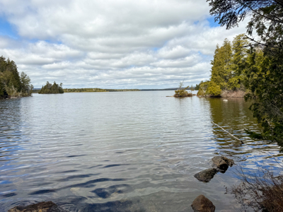 Downeast Lakefront Property - Cathance Twp, Maine - image 2