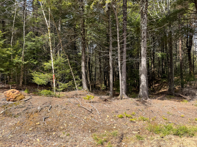 Downeast Lakefront Property - Cathance Twp, Maine - image 6