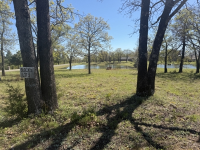 Building Lot For sale in Snake Creek Wilderness by Lake Tenkiller - image 3