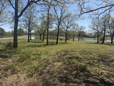 Building Lot For sale in Snake Creek Wilderness by Lake Tenkiller - image 7