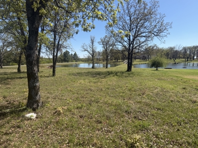 Building Lot For sale in Snake Creek Wilderness by Lake Tenkiller - image 1