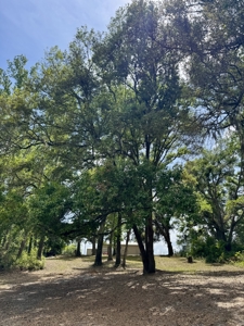 Affordable Country Home For Sale in Jasper, FL - image 28