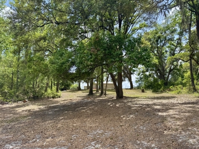 Affordable Country Home For Sale in Jasper, FL - image 29