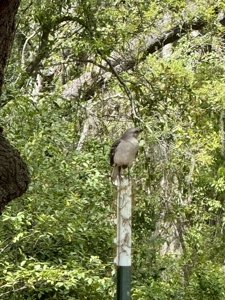 Affordable Country Home For Sale in Jasper, FL - image 27