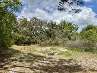 Affordable Country Home For Sale in Jasper, FL - image 26