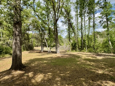 Affordable Country Home For Sale in Jasper, FL - image 22