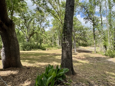 Affordable Country Home For Sale in Jasper, FL - image 24