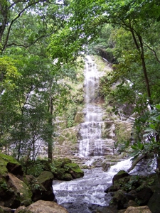 Mariato Beachfront & Forest Land for Sale | Playa Verde Panama - image 15