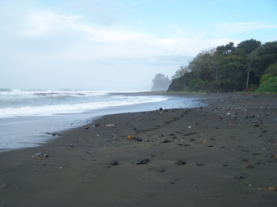 Mariato Beachfront & Forest Land for Sale | Playa Verde Panama - image 5