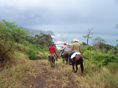 Mariato Beachfront & Forest Land for Sale | Playa Verde Panama - image 6