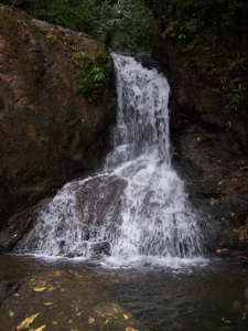 Mariato Beachfront & Forest Land for Sale | Playa Verde Panama - image 3