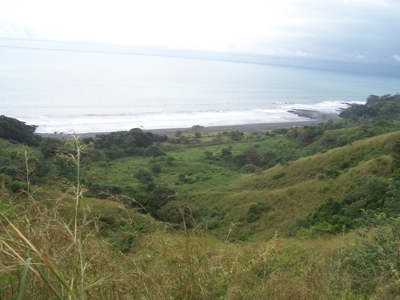 Mariato Beachfront & Forest Land for Sale | Playa Verde Panama - image 13