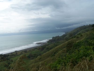 Mariato Beachfront & Forest Land for Sale | Playa Verde Panama - image 14