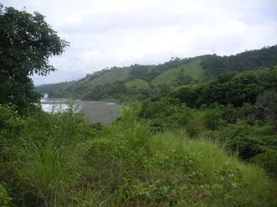 Mariato Beachfront & Forest Land for Sale | Playa Verde Panama - image 21