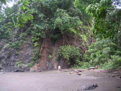 Mariato Beachfront & Forest Land for Sale | Playa Verde Panama - image 18