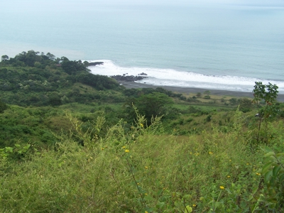 Mariato Beachfront & Forest Land for Sale | Playa Verde Panama - image 11