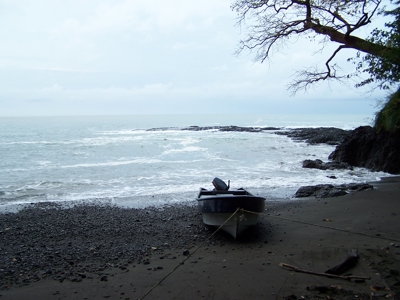 Mariato Beachfront & Forest Land for Sale | Playa Verde Panama - image 2