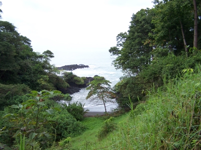 Mariato Beachfront & Forest Land for Sale | Playa Verde Panama - image 7