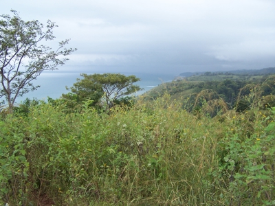 Mariato Beachfront & Forest Land for Sale | Playa Verde Panama - image 10