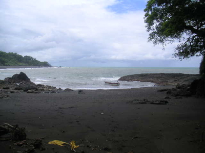 Mariato Beachfront & Forest Land for Sale | Playa Verde Panama - image 17