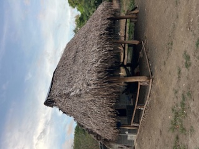 Mariato Beachfront & Forest Land for Sale | Playa Verde Panama - image 27