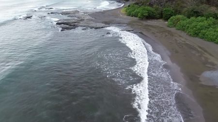 Mariato Beachfront & Forest Land for Sale | Playa Verde Panama - image 30