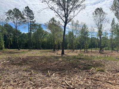Peaceful acreage with utilities available - image 7