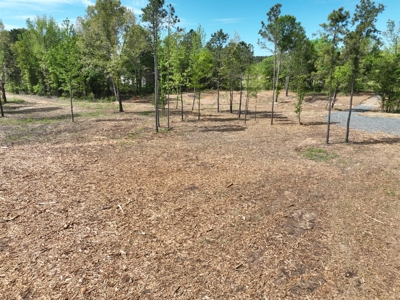 Peaceful acreage with utilities available - image 2