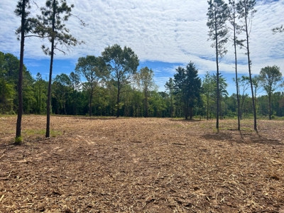 Peaceful acreage with utilities available - image 5