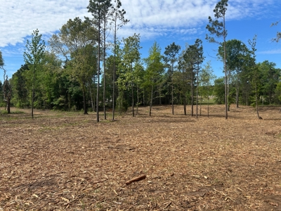 Peaceful acreage with utilities available - image 9