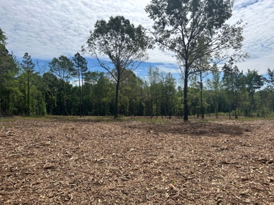 Peaceful acreage with utilities available - image 8