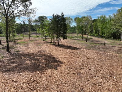 Peaceful acreage with utilities available - image 4