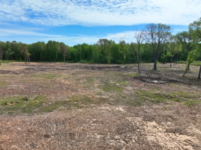 Homesite location with acreage - image 4