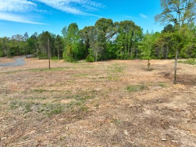 Homesite location with acreage - image 1